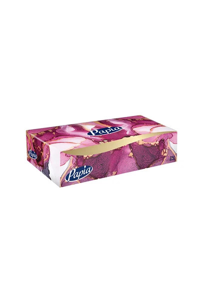 2 ADET Papia 3 Kat Kutu Mendil 100'lü ürün görseli 1