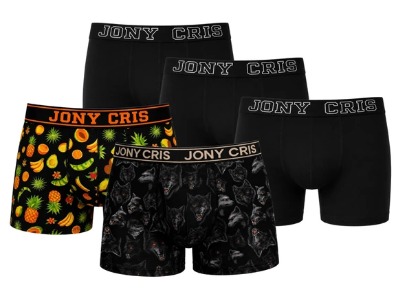 Jony Cris Erkek 5'li Paket Desenli Esnek Pamuk Boxer ürün görseli 1