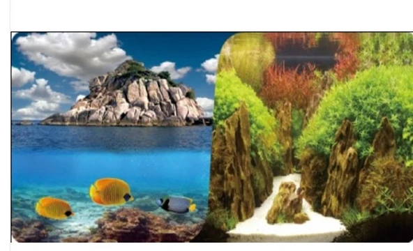 Akvaryum Arka Fon Plastik Poster Manzara-bitki 40cm ürün görseli 1