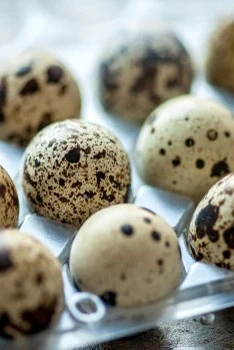 Bıldırcın Yumurtası 12'li Viyol ürün görseli 1