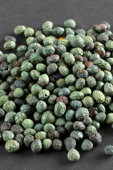 Taze Menengiç (Çitlenbik) 250 Gr - Resim 3