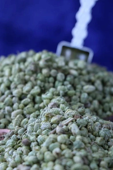 Bilye Kekik 100 Gr ürün görseli 1