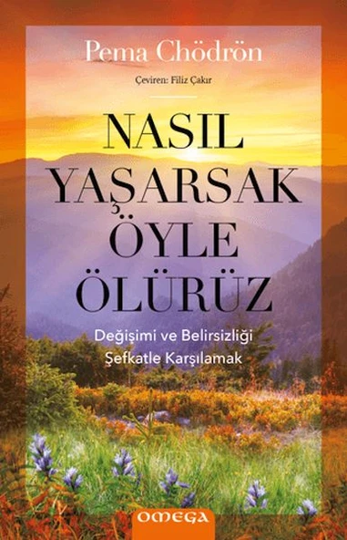 Nasıl Yaşarsak Öyle Ölürüz ürün görseli 1