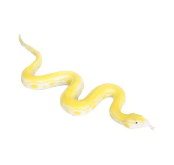 Strech Sarı Albino Piton Yılanı - Resim 2