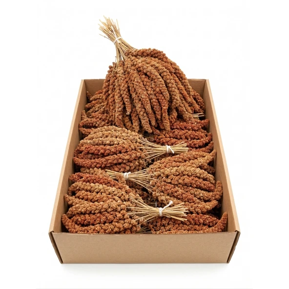 Kırmızı Dal Darı 12-20cm 1 Kg ürün görseli 1