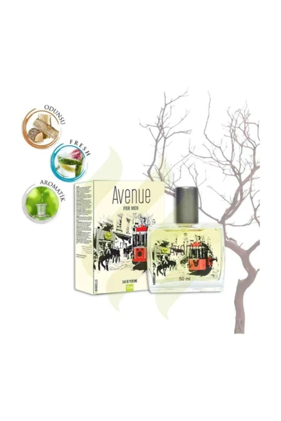 ERKEK PARFÜM AVENUE 50 ML EDP 8691841304746 ürün görseli 1