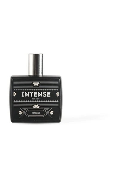 ERKEK PARFÜM INTENSE 50 ML EDP ürün görseli 1