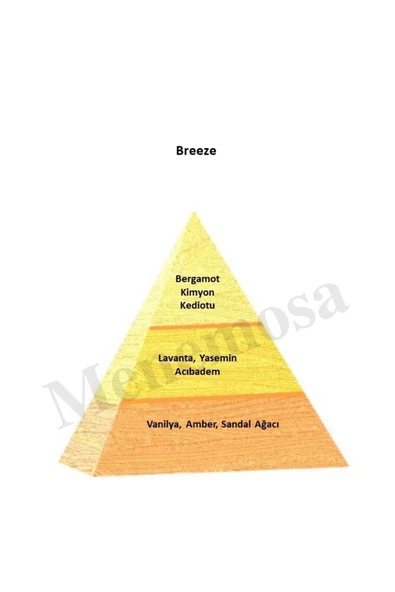 Breeze Erkek Parfüm Edp 50 Ml - Resim 2