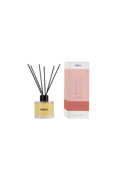 BRIGHT PLACE BAHARAT 120 ml DEKORATiF ORTAM KOKUSU ürün görseli 1