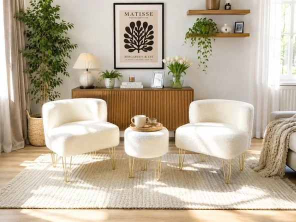 ÇAY SETİ İKİLİ KOLTUK BERJER VE PUF (SALON, BALKON, BAHÇE, OFİS) ürün görseli 1