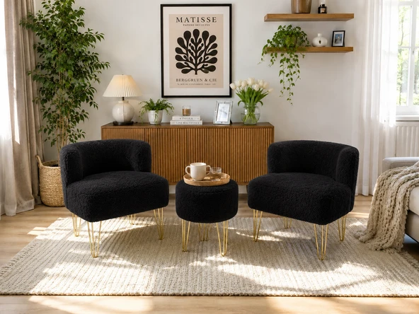 ÇAY SETİ İKİLİ KOLTUK BERJER VE PUF ( SALON, BALKON, BAHÇE, OFİS) ürün görseli 1