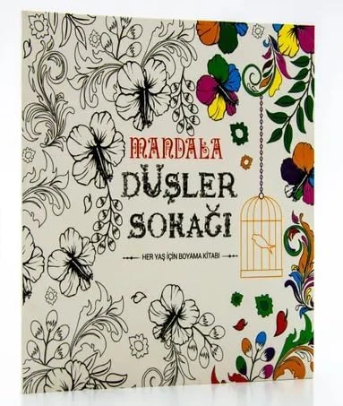 Beleşe Eğlenceli Huzurlu Mandala Boyama Defteri Düşler Çoktan Seçmeli Özel Boya Kitabı Büyükler Yetişkinlik Için Stress Azaltıcı Etkinlik Defteri Boya/Hayal Et/Çiz (Düşler Sokağı) ürün görseli 1