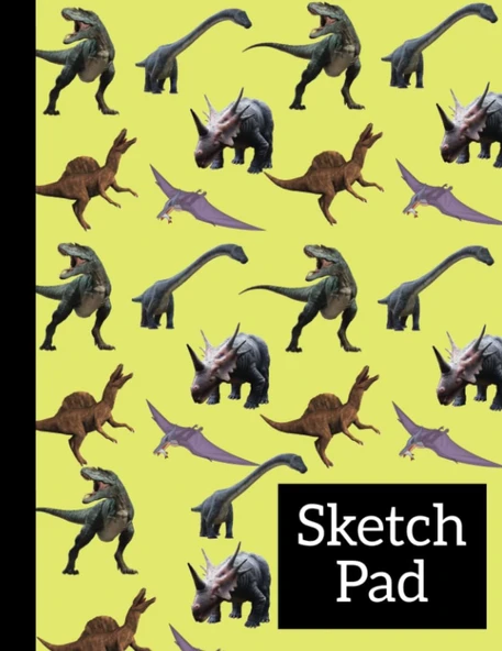 Independently Published Dinosaur Sketch Pad For Kiddos Who Love To Draw ürün görseli 1