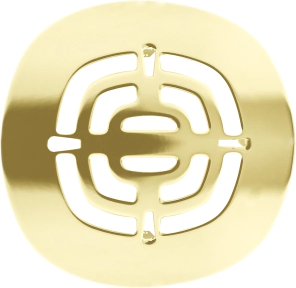Westbrass Pirinç Geçmeli Duş Süzgeci Izgarası, Cilalı Pirinç, D316-03 ürün görseli 1