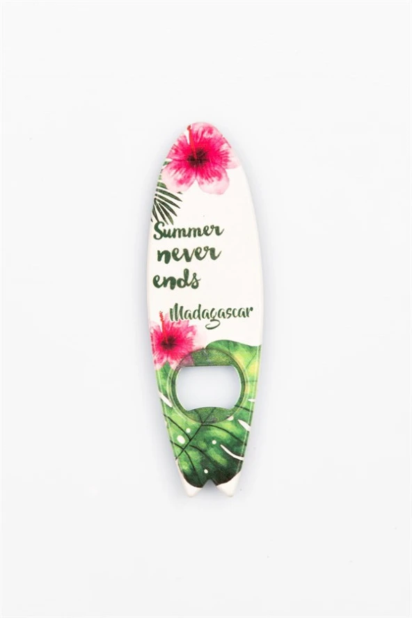 Madagaskar Temalı Magnet Sörf Açacak - Resim 2