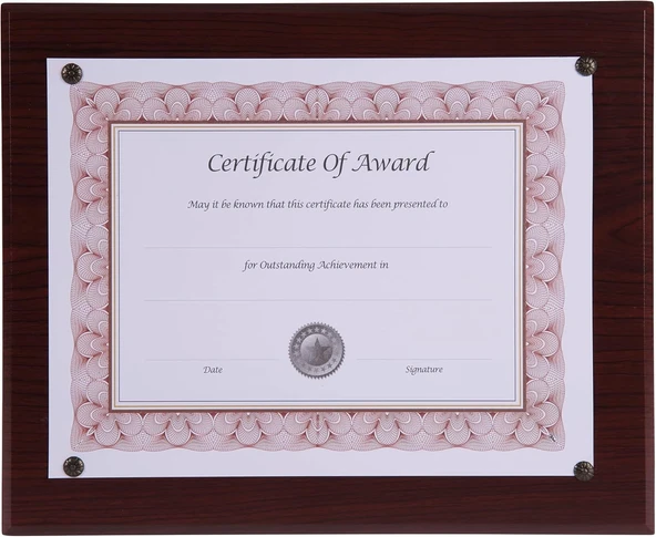Nudell (Walnut) - 18811M Award-A-Plaque Document Holder Acrylic/Plastic 10-1/2 X 13 Walnut ürün görseli 1