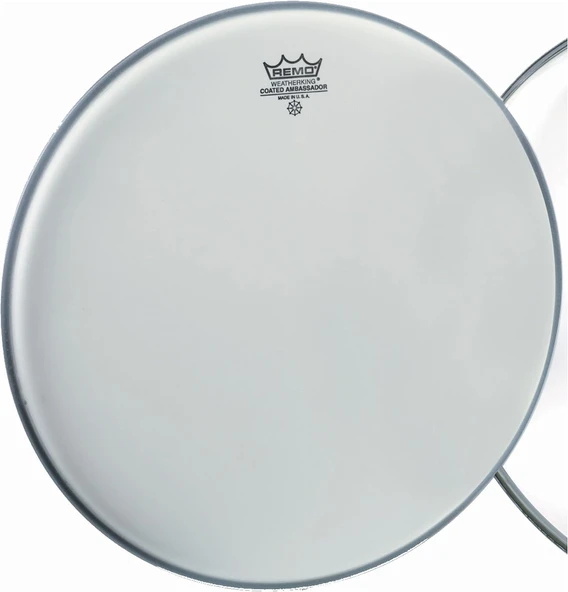 Remo 12'' Ambassador Kaplamalı Tom Derisi ürün görseli 1