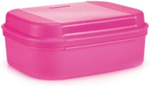 F20 Saklama Kabı Pembe ürün görseli 1