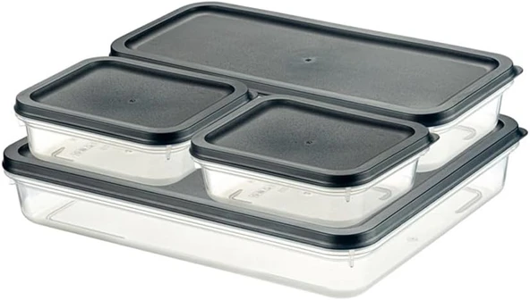 Orret 4 Adet Buzdolabı Derin Dondurucu Saklama Kabı Seti, Fresh Box, Dolap Düzenleyici Buz Dolabı Organizeri, Bpa İçermeyen Pp Plastik,Gıdaları Taze Tutma,Mutfak Düzenleyici (Gri) ürün görseli 1
