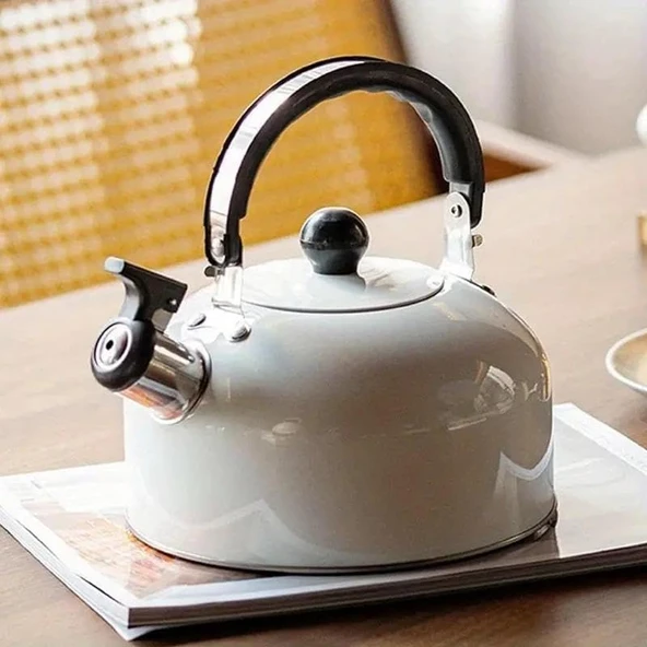 Valkyrie 3L Paslanmaz Çelik Düdüklü Kettle Su Isıtıcısı Çaydanlık Islıklı Demlik ürün görseli 1