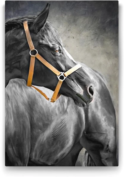 Siyah At Tablosu - 80X125Cm ürün görseli 1