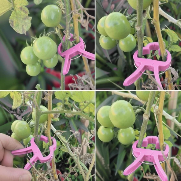 Bitki Bağlama Destek Mandalı 10 Adet Boy (Pembe) ürün görseli 1