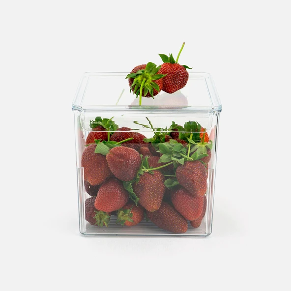 Primanova Kapaklı Plastik Şeffaf Kapaklı Küp Düzenleyici 16.5 x 35.5 x 16 cm (4'li Paket) ürün görseli 1