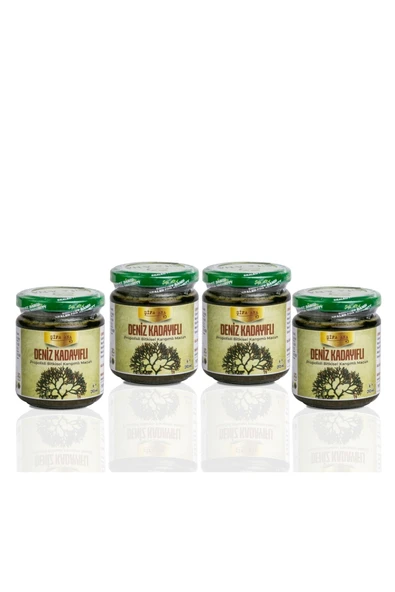 ŞİFA ANA 4 Adet Deniz Kadayıfı Macunu (240 gr.) ürün görseli 1