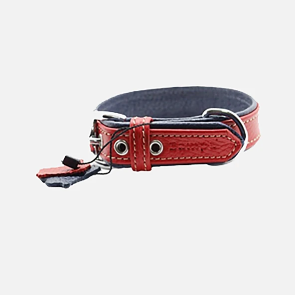 Zampa Flotter M Köpek Boyun Tasması 54 cm (3'li Paket) ürün görseli 1