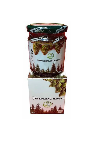 Herbary Şifaana Çam Kozalak Macunu 240 Gram 1 Kutu ürün görseli 1
