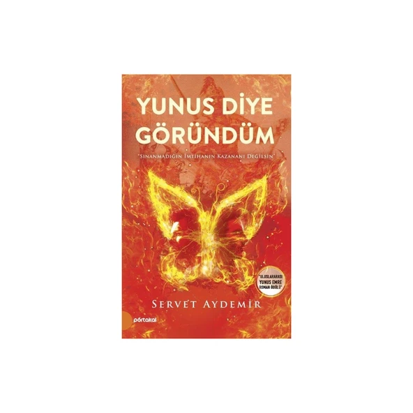 Yunus Diye Göründüm - Servet Aydemir ürün görseli 1