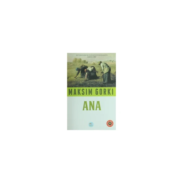 Ana (Özet Kitap) ürün görseli 1