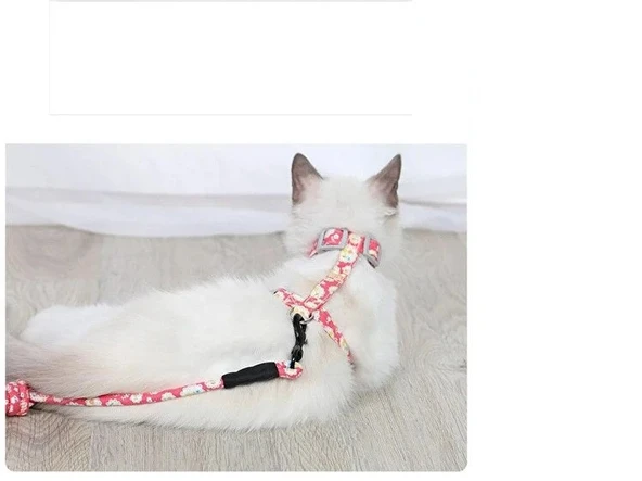Kedi Gezdirme Göğüs Tasması - Resim 2