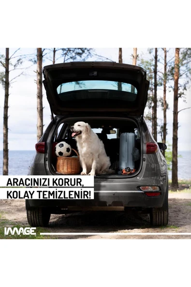 Image Renault Kangoo Multix Combi (2011 - 2016 ) Bagaj Havuzu - Resim 2