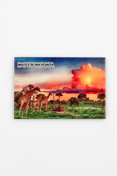 Botsvana Temalı Ahşap Kartpostal Magnet - Resim 3