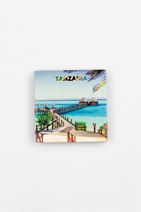 Tanzanya Temalı Taş Bardak Altlığı - Resim 3