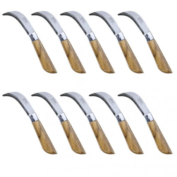 Bayram Aşı Bıçağı ( 10 Adet ) Bağ Bıçağı Paslanmaz Ceviz Aşı Çakısı 20 Cm No:2 ürün görseli 1