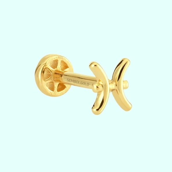 Altın Tragus Piercing 14 Ayar Balık Burcu ürün görseli 1