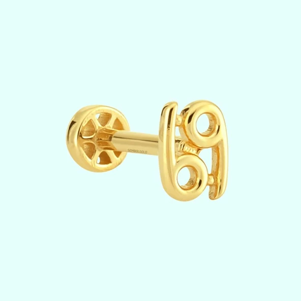 Altın Tragus Piercing 14 Ayar Yengeç Burcu ürün görseli 1