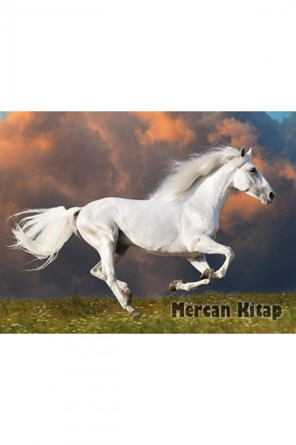King Of Puzzle Kırat Ahşap Puzzle 3000 Parça (hv81-mmm) ürün görseli 1