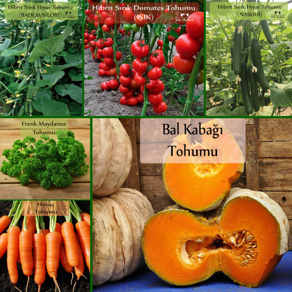 6 Paket Tohum No4 Hibrit Badem Salatalık Tohumu Hıyar Nasuhi F1 Domates Bal K. Frenk Maydanoz Tohumu Sebze Tohumları ürün görseli 1
