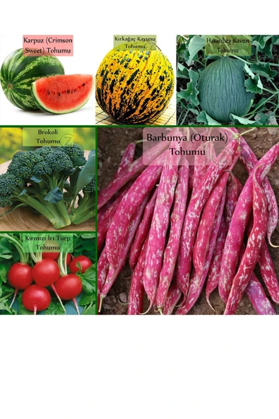 6 Paket Tohum No5 Karpuz Tohumu Hasanbey Kırkağaç Kavun Tohumu Brokoli Turp Kınalı Barbunya Tohumu ürün görseli 1