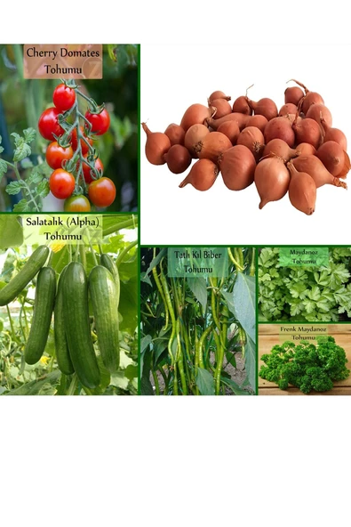 6 Paket Tohum No7 Iska 1 Kg. Arpacık Soğan Çeri Domates Salatalık Tatlı Biber Frenk Maydanoz Tohumu ürün görseli 1