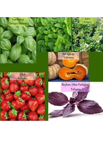6 Paket Tohum No14 Yeşil Fesleğen Reyhan Tohumu Mor Fesleğen Nane Kekik Bal Kabağı Çilek Tohumu ... ürün görseli 1