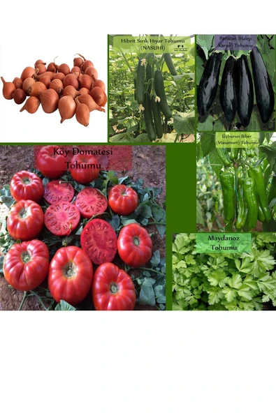 6 Paket Tohum No18 Arpacık Soğan 1 Kg. Iska Hibrit Salatalık Patlıcan Köy Domatesi Biberi Tohumu ... ürün görseli 1