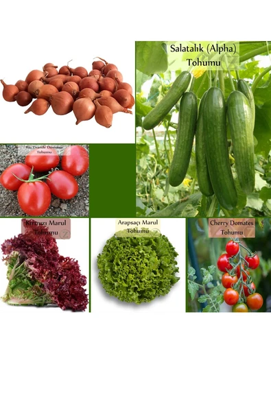 6 Paket Tohum No20 Kıska Iska 1 Kg. Arpacık Soğan Salatalık Domates Marul Cherry Domates Tohumu... ürün görseli 1