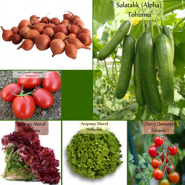 6 Paket Tohum No20 Kıska Iska 1 Kg. Arpacık Soğan Salatalık Domates Marul Cherry Domates Tohumu ürün görseli 1