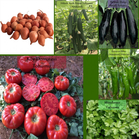 6 Paket Tohum No18 Arpacık Soğan 1 Kg. Iska Hibrit Salatalık Patlıcan Köy Domatesi Biberi Tohumu ürün görseli 1