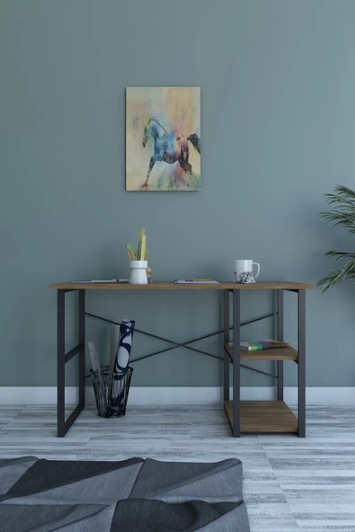 Richmond Bozkır 120'lik Metal Kitaplıklı, Bölmeli Masa, Çalışma Masası 120x70x60 cm ürün görseli 1