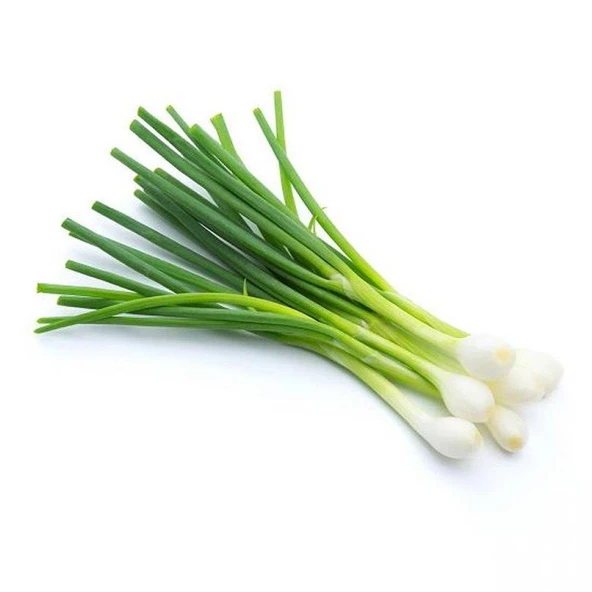 Yeşil Soğan Tohumu 5 gr Paket ürün görseli 1